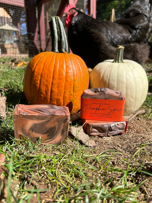 Pumpkin Spice Soap